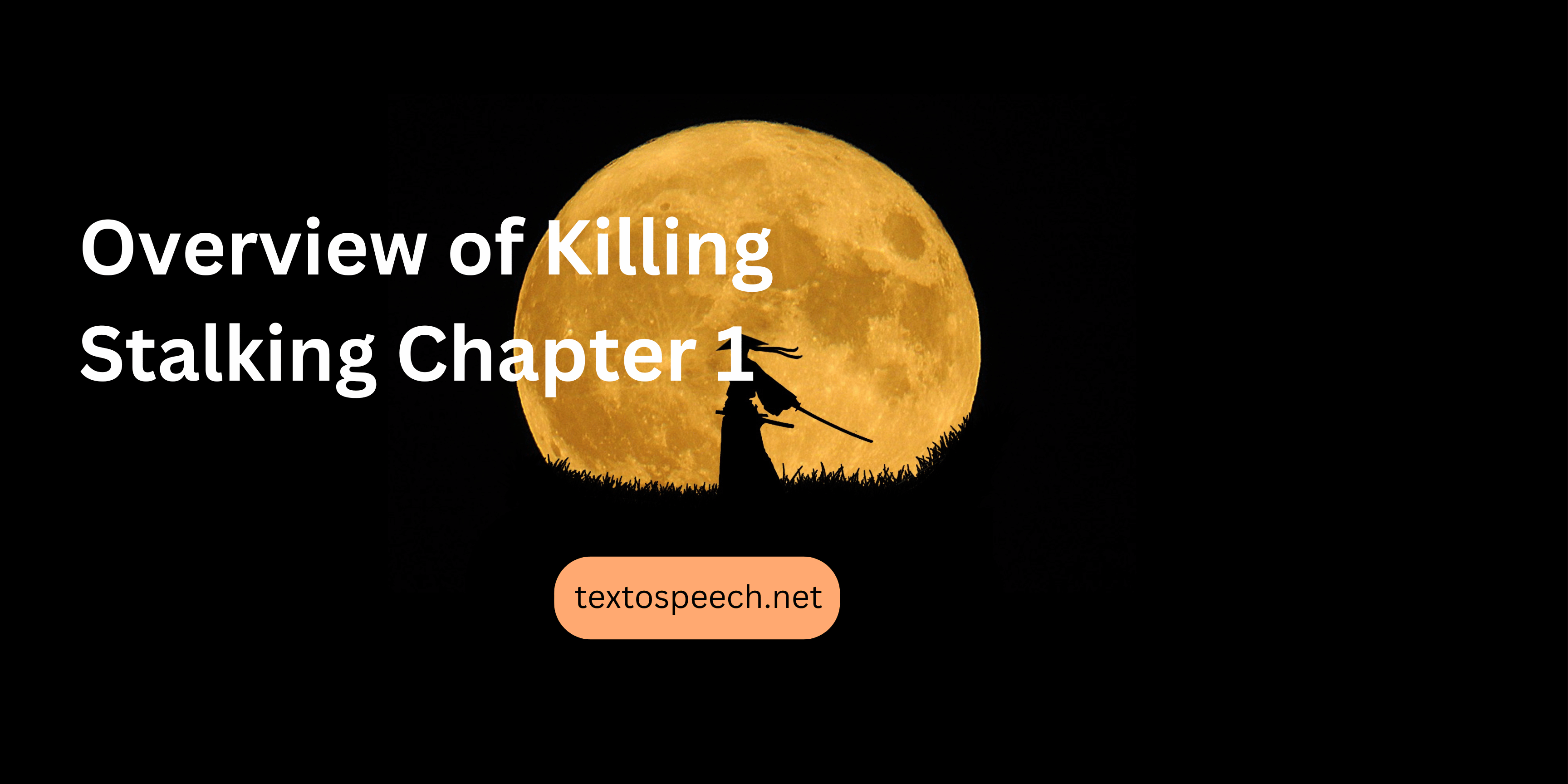 Overview of Killing Stalking Chapter 1